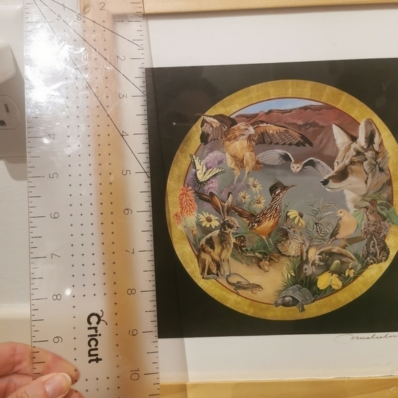 PAT Malcolm new Mexico wildlife - Picture 4 of 5